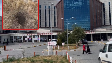 Anne ve anneanne birbirini suçladı! İfadeleri ortaya çıktı