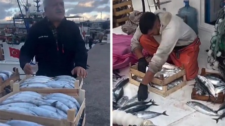 Şile Limanı'nda Palamut Fiyatları Düşüşte