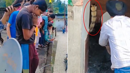 Hindistan'da Klozetten Kobra Yılanı Çıktı
