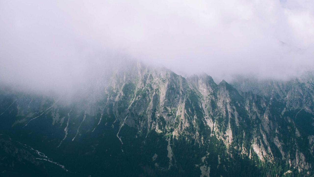 Fransa'dan dayanışma mesajı