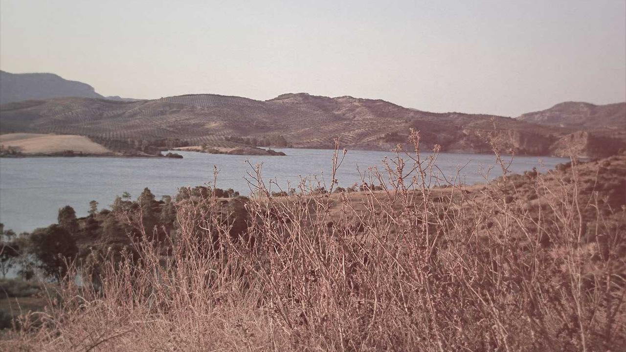 AFAD raporunu açıkladı