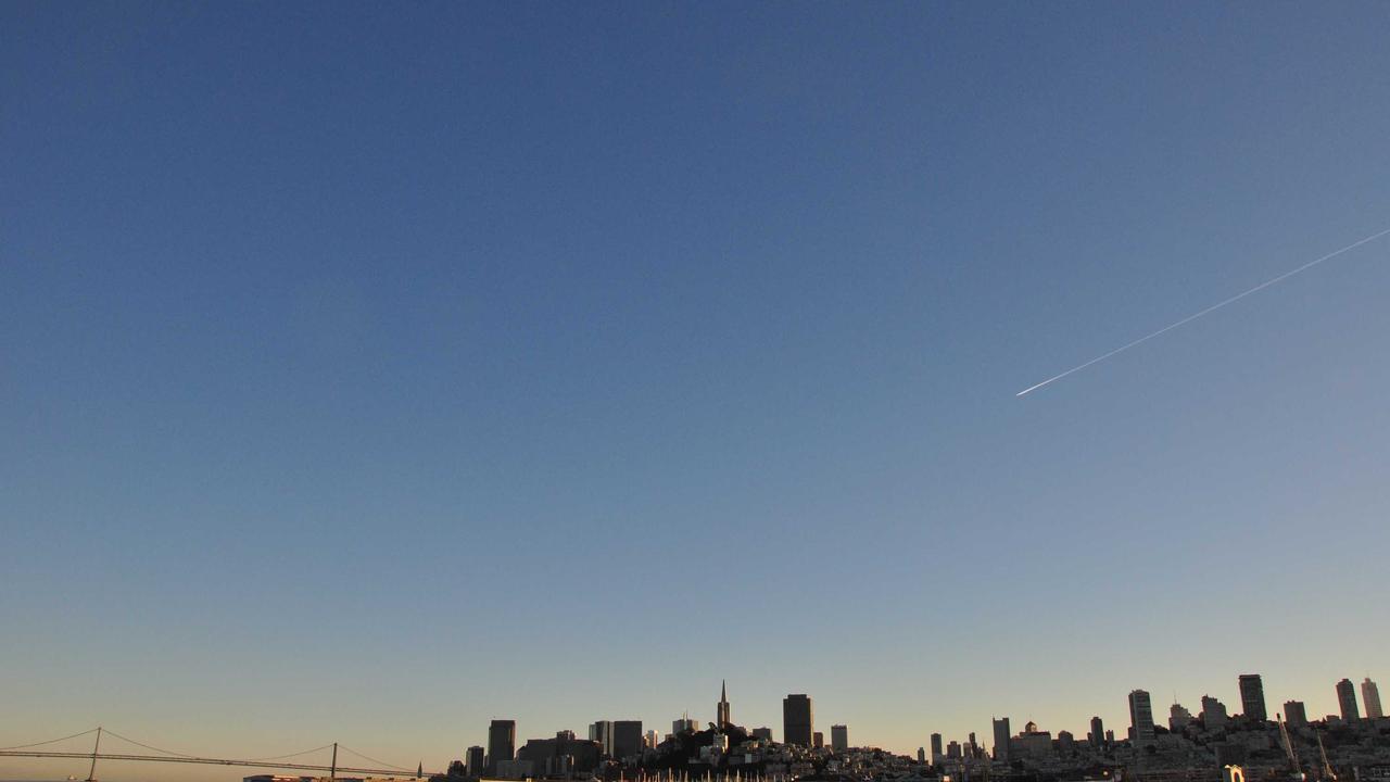 Bölgedeki 365 kuş türünden biri olan sessiz kuğular.