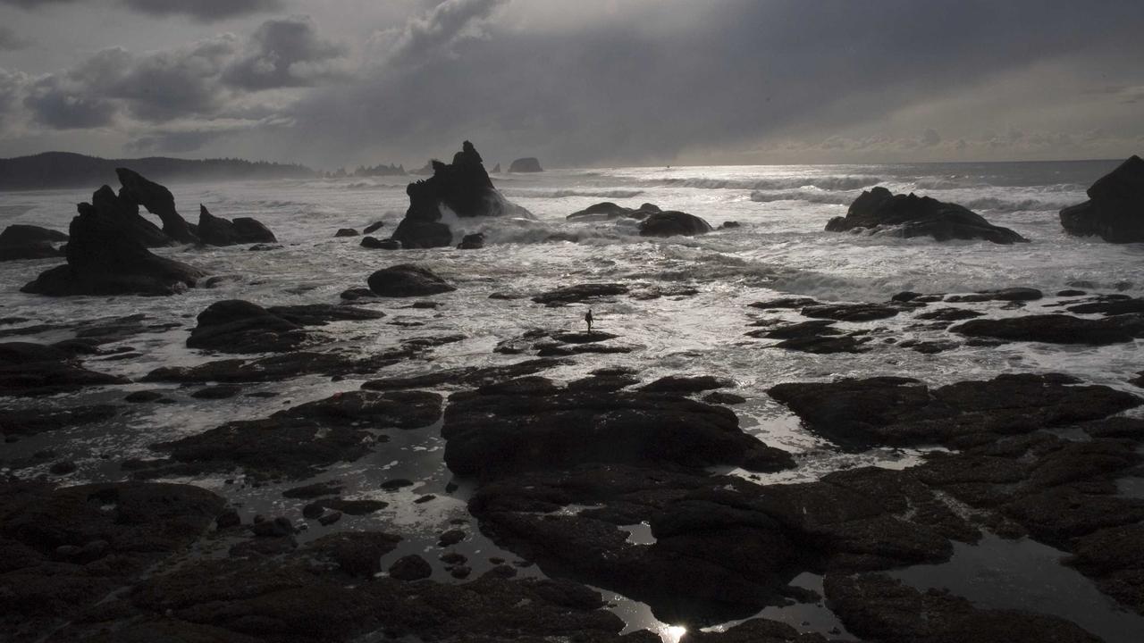 Sosyal medyada büyük yankı uyandırdı