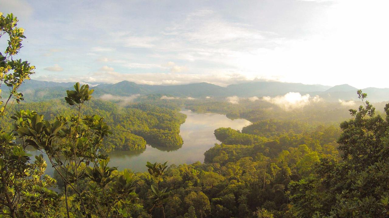 Altın fiyatları yükseldi