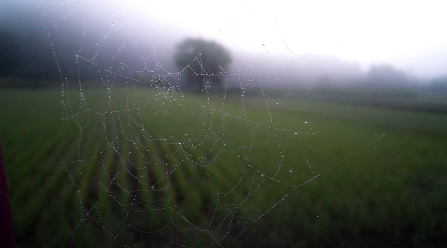 Evliya Çelebi'nin izinde İstanbul: İnteraktif rota haritası