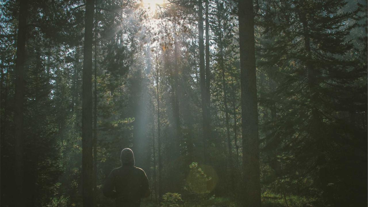 İstanbul Boğazı'nda baharın ilk günleri renkli görüntülere sahne oldu