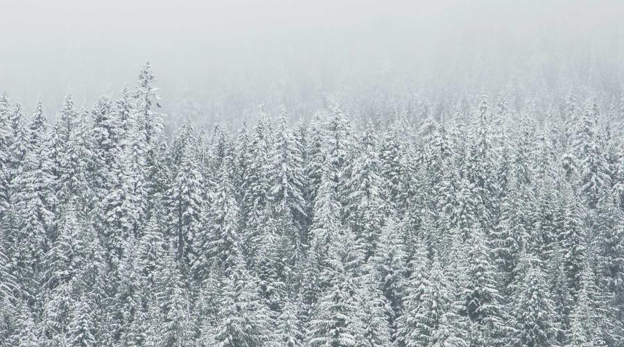 İstanbul'un en güzel manzaralı bankları: İnteraktif harita